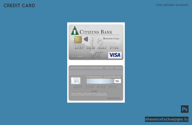 Vorschau einer Visa-Visitenkarte der Guyana Citizens Bank